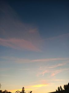 Img.2023.06.09