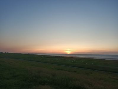 Img.2023.06.08