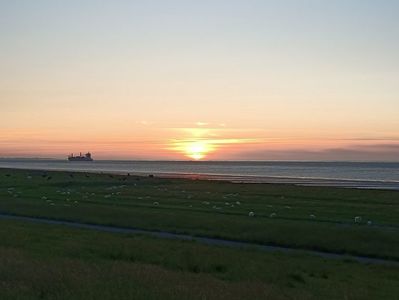 Img.2023.06.08
