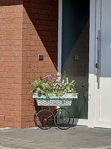 Img.2023.06.08