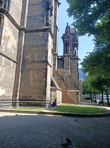 Img.2023.06.07
