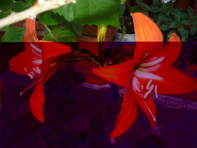 P1060130
