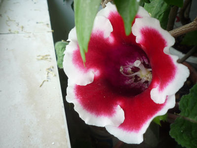P1060420
