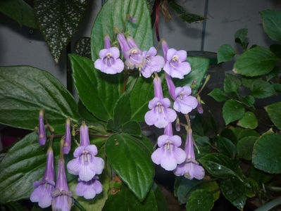 P1060467