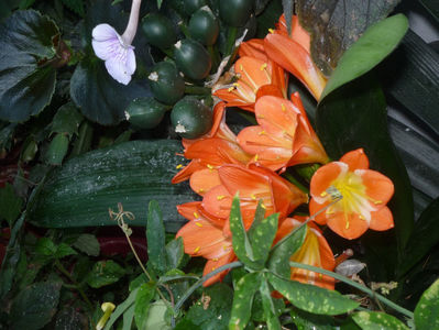 P1060470