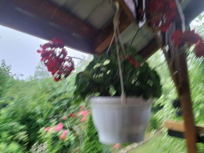 IMG20240603182745