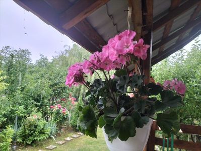 IMG20240603182724