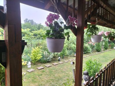 IMG20240603182656