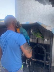 07297082-7dca-4a32-ade4-68f4f4de5f75