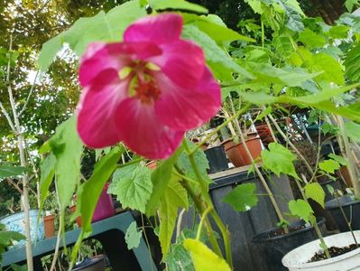 received_760135546016688