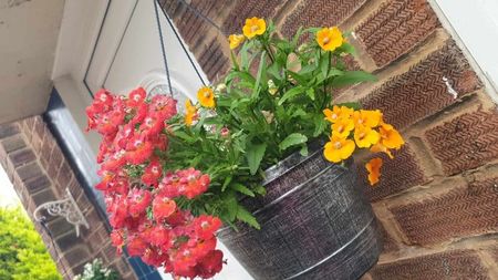 received_870918411744942