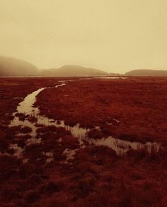 ; Bellanoch – funny story. This area inspired a 2025 project, the red in particular. I forgot to mention it is a film noir production
