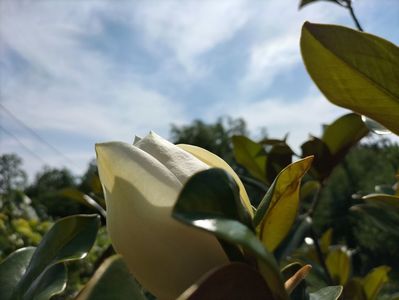 IMG20240620161237