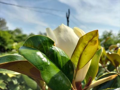 IMG20240620161227