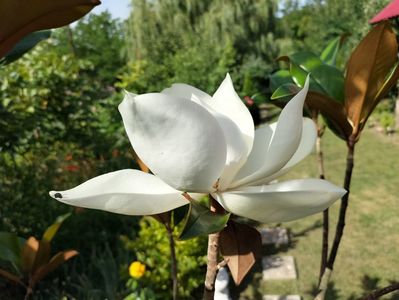 IMG20240621094900