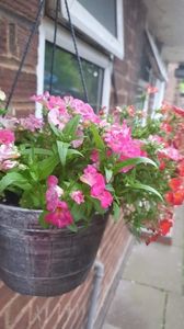 IMG-20240621-WA0162