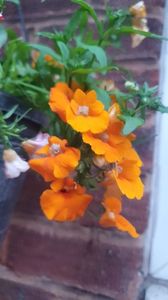 IMG-20240621-WA0159