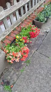 IMG-20240621-WA0168