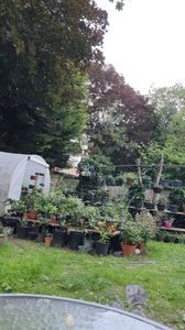 IMG-20240621-WA0119