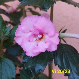 Img.2024.06.24