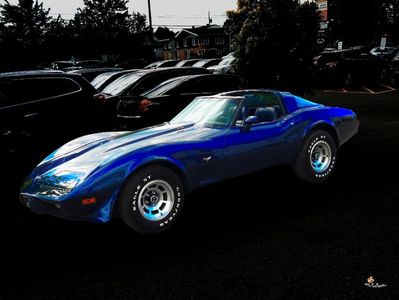 Collection Cars - Chevrolet Corvette 1979-85