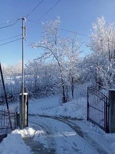 IMG20240121101137