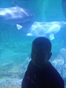 IMG20230831131015