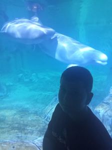 IMG20230831131014