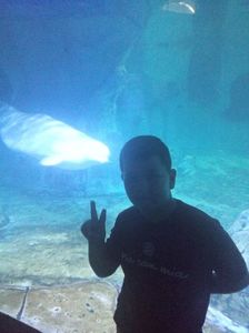 IMG20230831130911