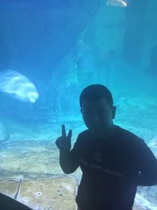 IMG20230831130910