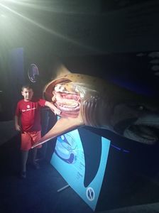 IMG20230831124044