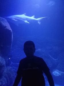 IMG20230831123921