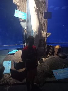 IMG20230831123800
