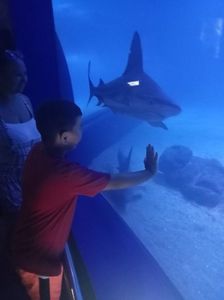 IMG20230831123607