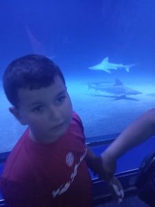 IMG20230831122952