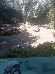 IMG20230831111954