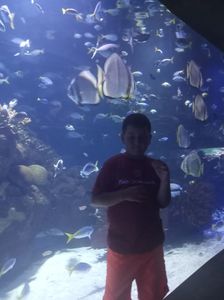 IMG20230831110801