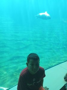 IMG20230831105308