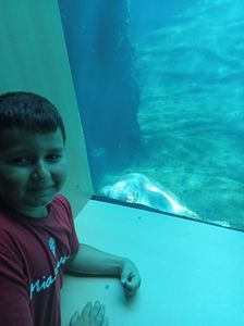 IMG20230831105224