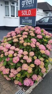 IMG-20240626-WA0031