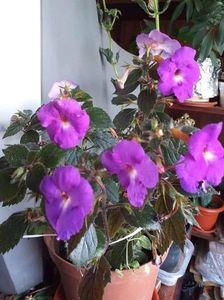 received_1175121970030114