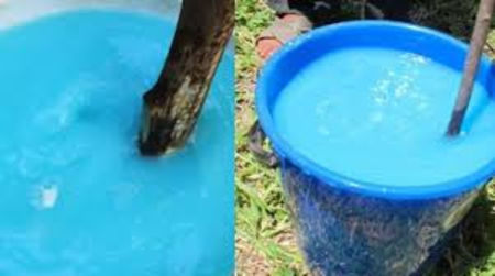 06.07.2024; 14l apa.150 gr.piatra.100 Gr var pasta.
