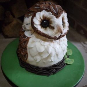 Tort cu Bufnita
