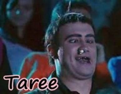 taree