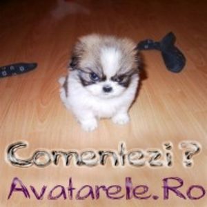 www_avatarele_ro__1198077092_331697 (1)