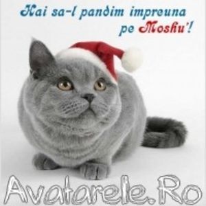 www_avatarele_ro__1198076371_254549