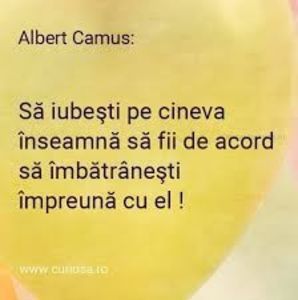 images (1)