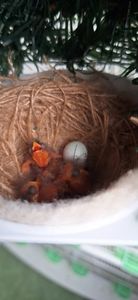 4 pui