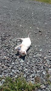IMG-20240510-WA0025