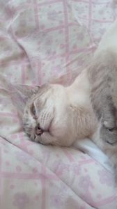 IMG-20240430-WA0005
